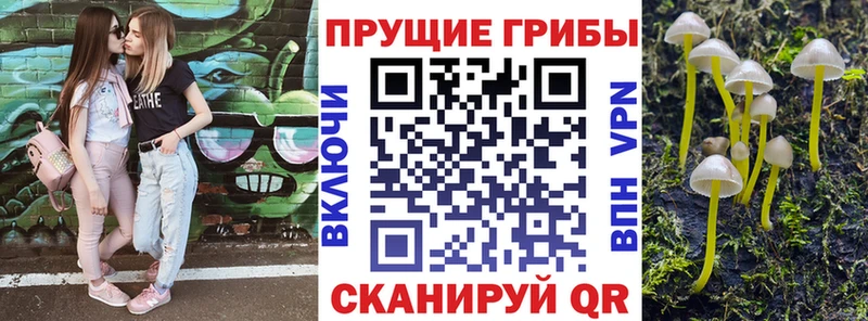 Галлюциногенные грибы Magic Shrooms  Шарыпово 