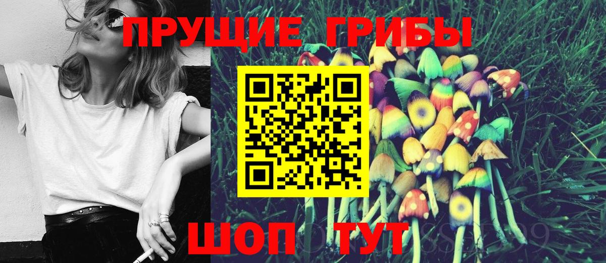 Галлюциногенные грибы Psilocybe Шарыпово