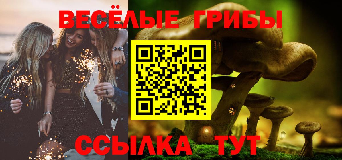 Шарыпово  Псилоцибиновые грибы Psilocybine cubensis  Псилоцибиновые грибы GOLDEN TEACHER  Вход с VPN 